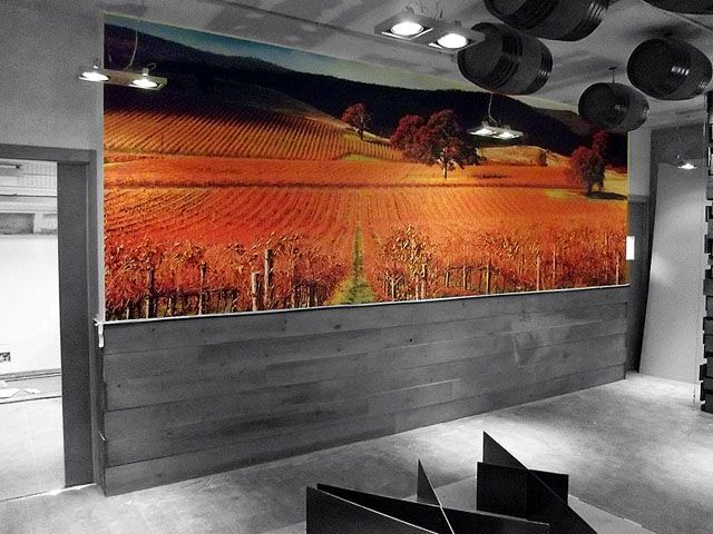 Fotomural Vinilo Mate