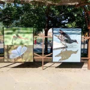 Rotulación de Stands y Ferias Barcelona