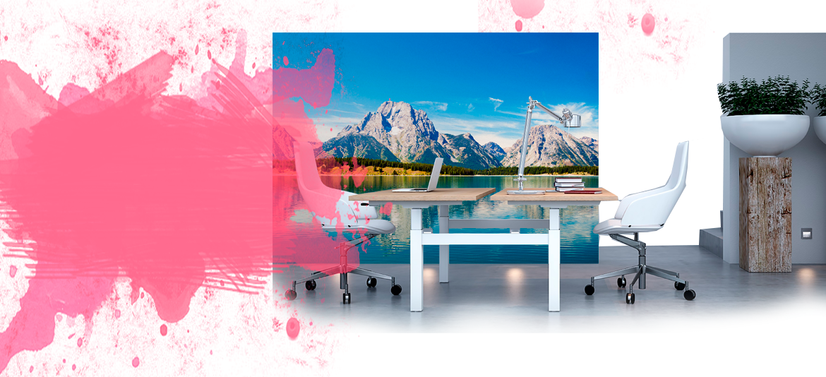 vinilos de corte de alta calidad para rotulación de vehículos 